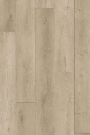 VYGO Longwood Tijdelijk Beschikbaar