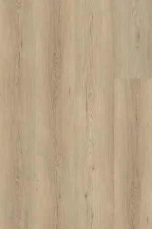 VYGO Everwood Flitsaanbieding