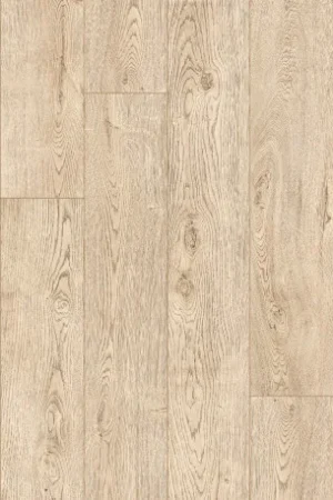 Veneto Alleen Vandaag