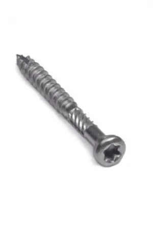 Azalp 100x RVS schroeven 5x50 mm Superprijs