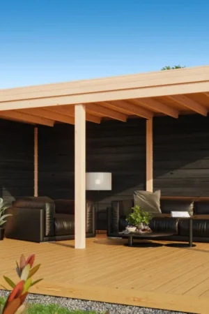 WoodAcademy douglas overkapping Earl nero Weekendaanbieding