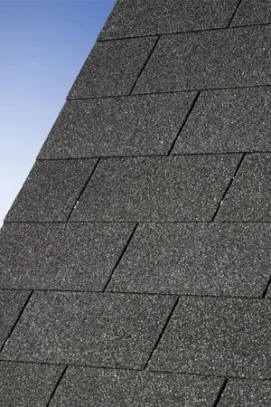 Beperkt Aanbod Karibu dakshingles recht - zwart