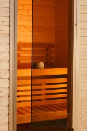 Ilogreen Saunadeur Trend - helder brons glas Beperkt Aanbod