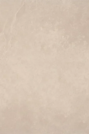 Tuintegels 60x60 cm Gecertificeerd