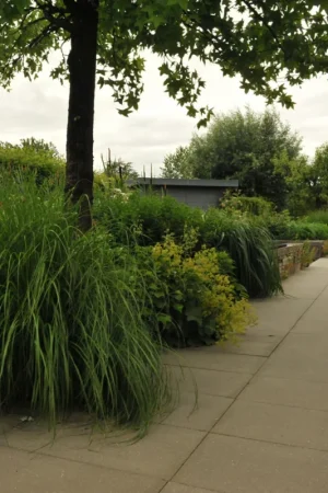 Tegel KOMO Grijs 40x60x5 cm Favoriet