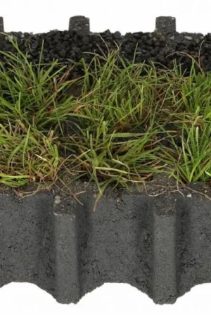 Betaalbaar Hoe maak je een tuin mét terrastegels klimaatvriendelijk?