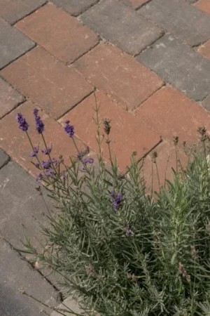 Tambour Brons 20x30x6 cm Veilige Betaling