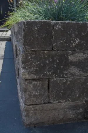 Wallblock Tumbled Zeeuws Bont 12x12x30 cm Betaalbaar