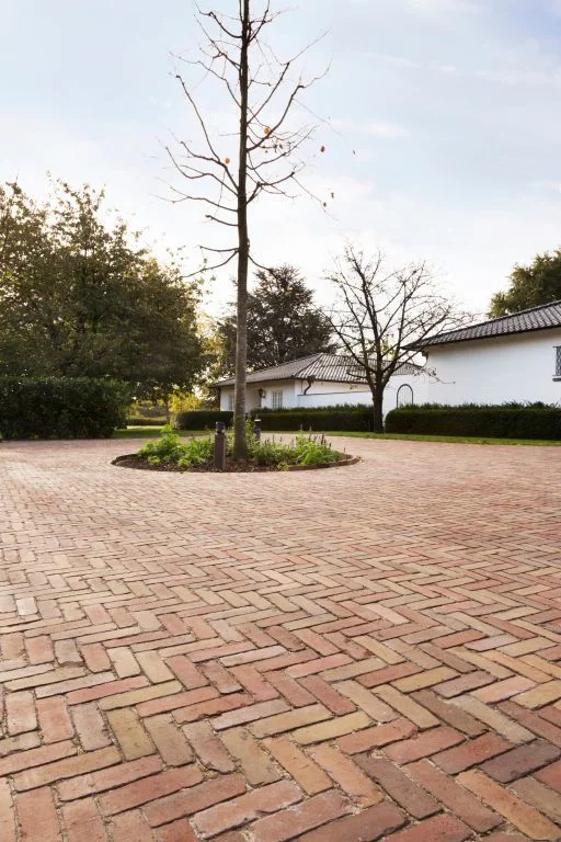 Varia WS Classica UWF60 geel rood bont onbezand 20x5x6 cm Gecertificeerd