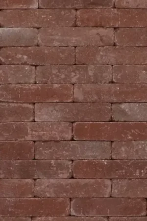 Tambour Beemsters Bont 20x5x7 cm Alleen Vandaag