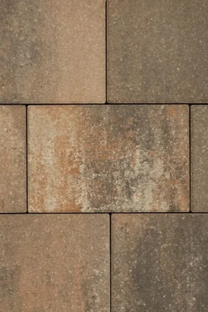 Vialetta Bruno Tijdelijk Beschikbaar