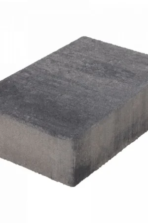 Alleen Vandaag Terras+ Steen 20x30x8 cm Grijs/Zwart