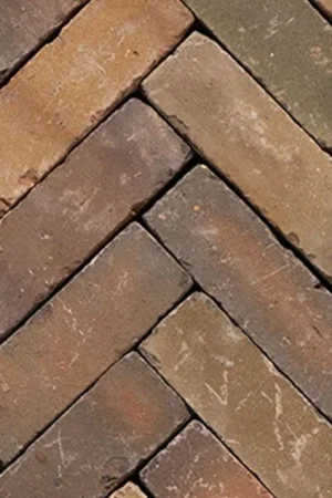 Varia WS Classica UDF60 Geel Rood Bont Onbezand 20x6,5x6 cm Favoriet