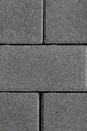 Weekendaanbieding GeoKlinker Plus Roma 24x8x8 cm