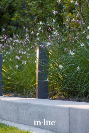 Koop Online In-lite staande lamp ACE HIGH SILVER 12V