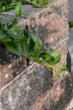 Beperkt Aanbod Wallblock Split Brons