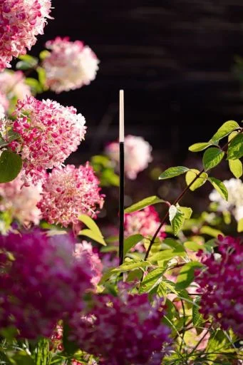 Alleen Vandaag in-lite staande buitenlamp BREEZE