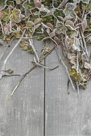 Bestel Nu GeoCeramica Timber Grigio