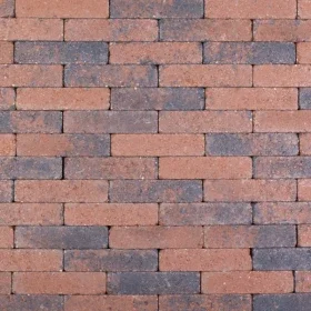 ACTIONLINE Aardmonnik 20x5x7 (wf)* Meest Verkocht