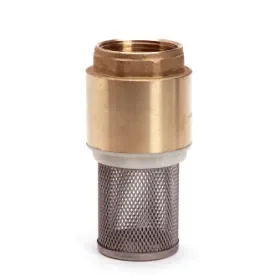 Beperkt Aanbod Veerbelaste voetklep, messing, binnendraad, 1"