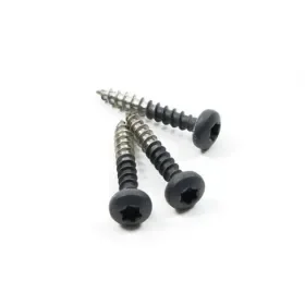 Beste Prijs Multi-edge ECO RVS schroeven 100 stuks Zwart