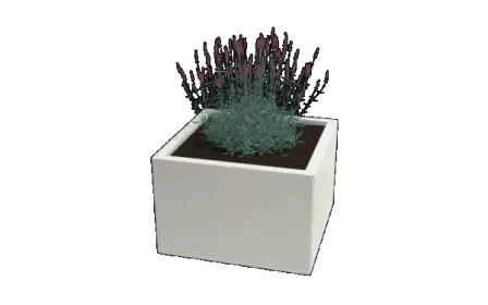 Voordeelprijs Gepoedercoat staal plantenbak Miami 80 x 80 x 60 cm geen bodemplaat Wit